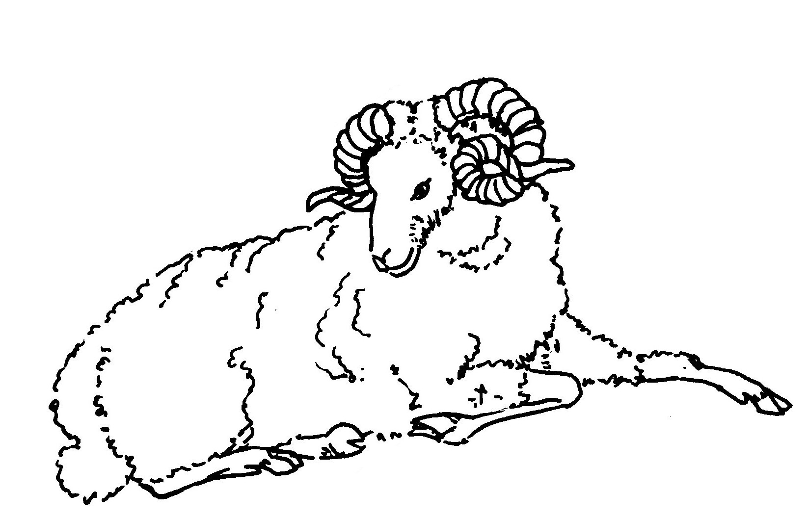 Aries