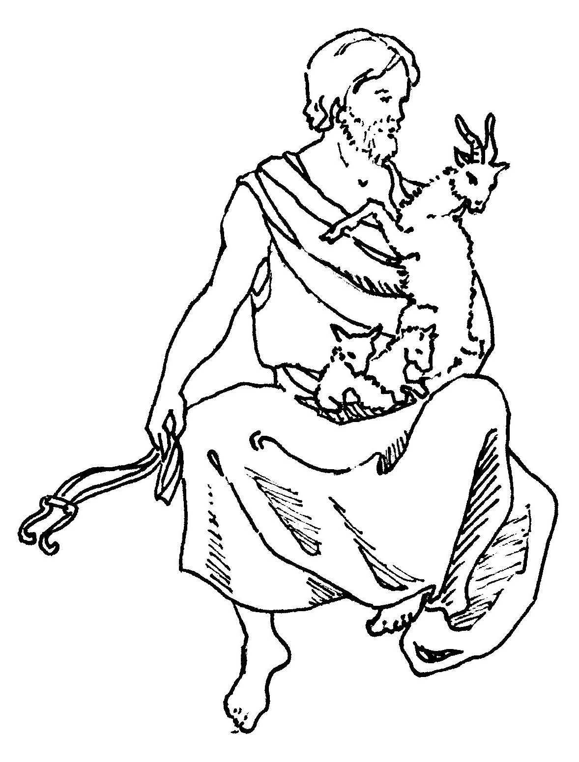 Auriga