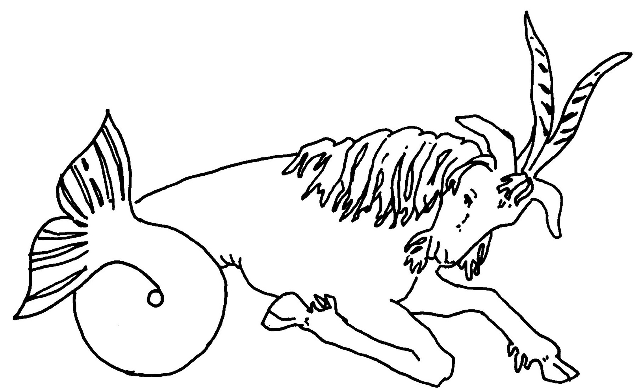 Capricorn