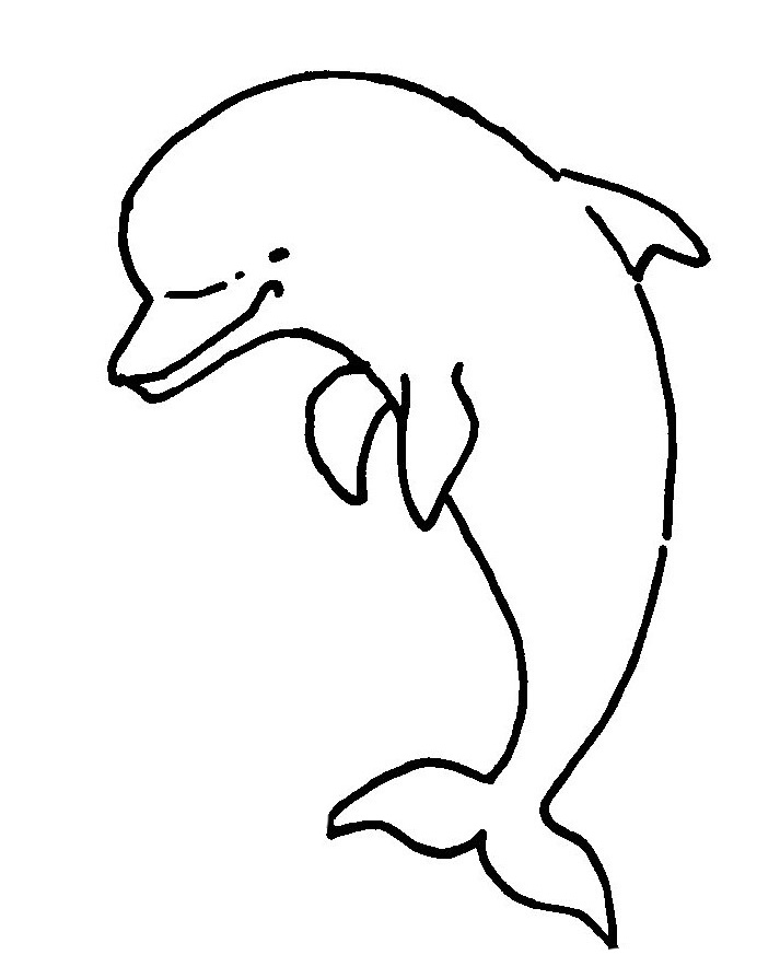 Delphinus