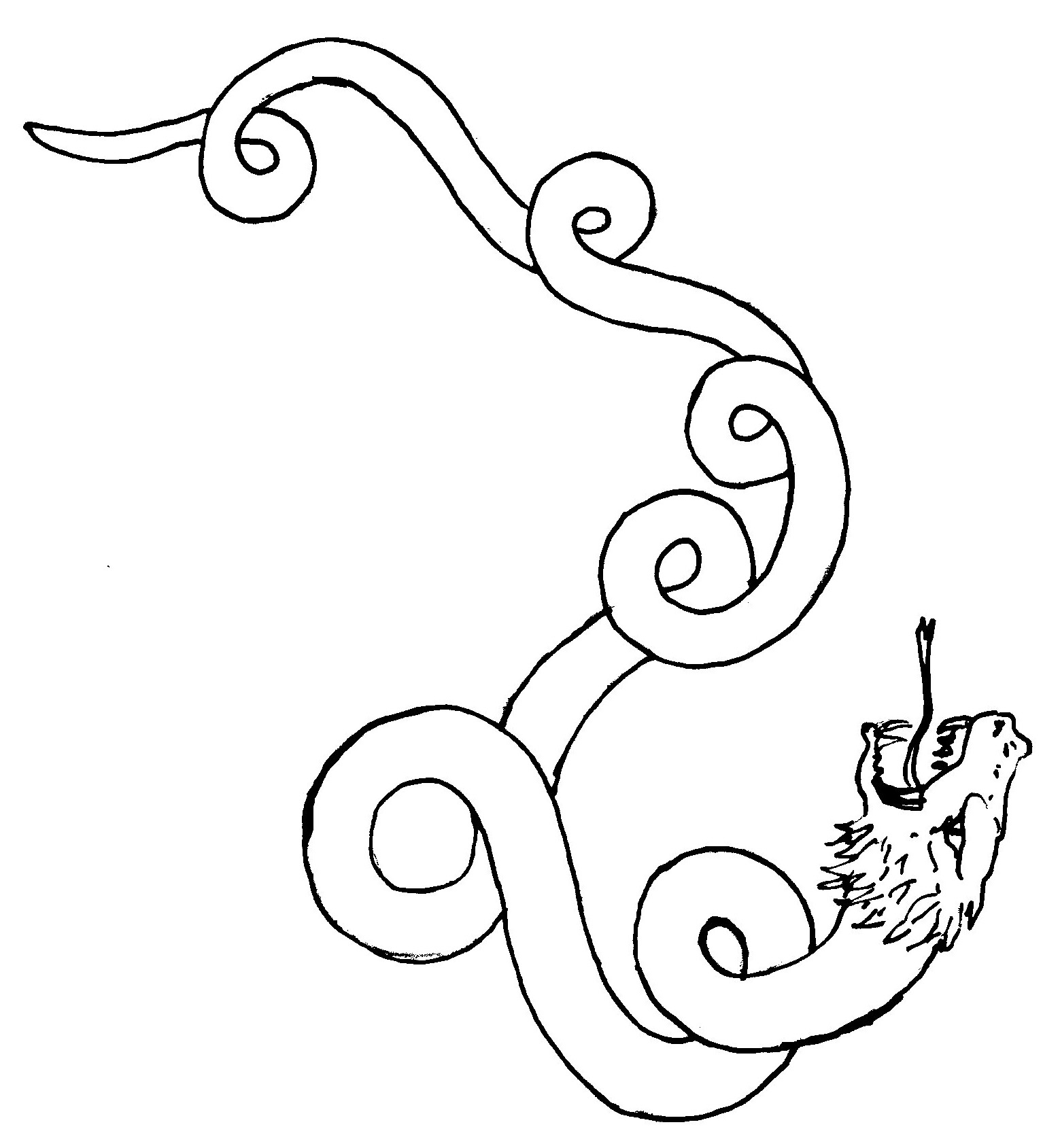 Draco