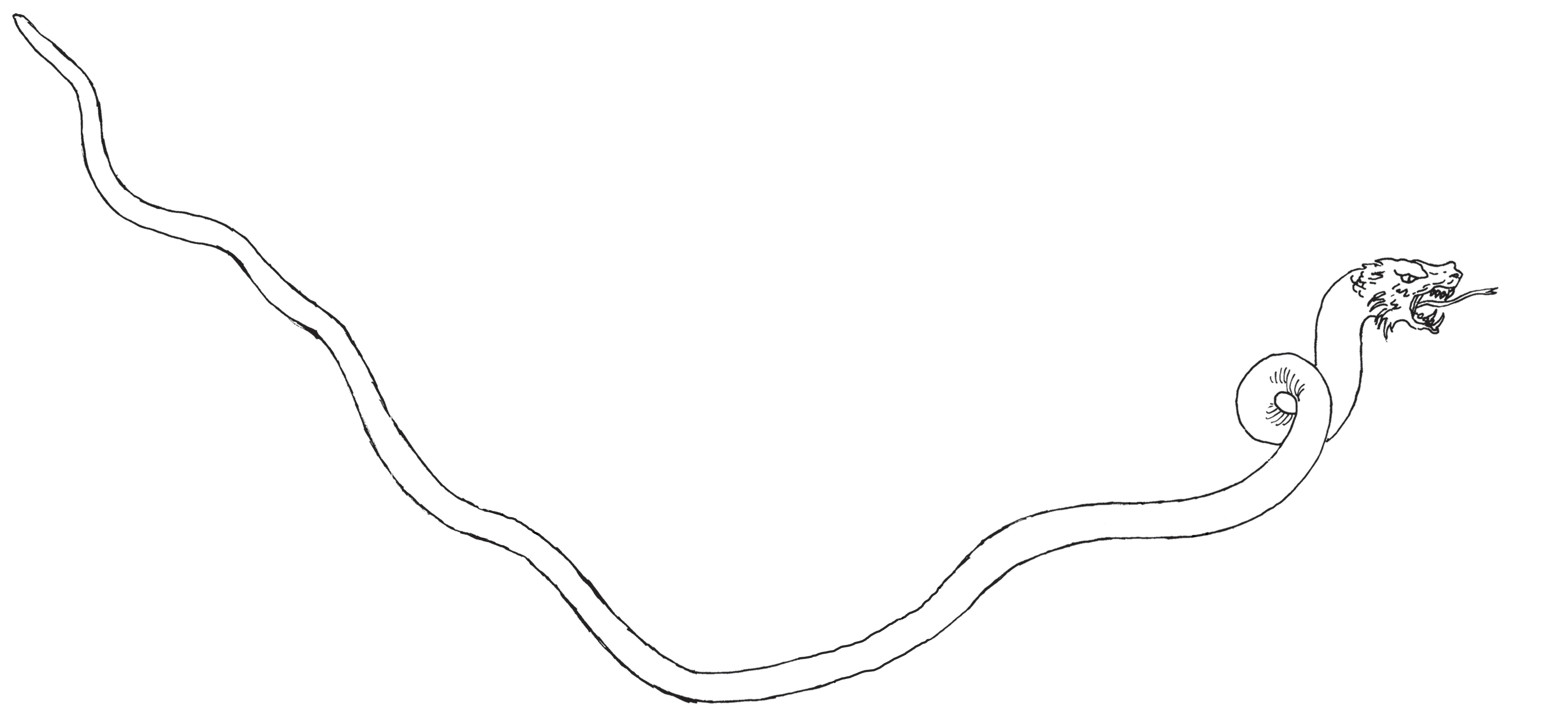 Hydra