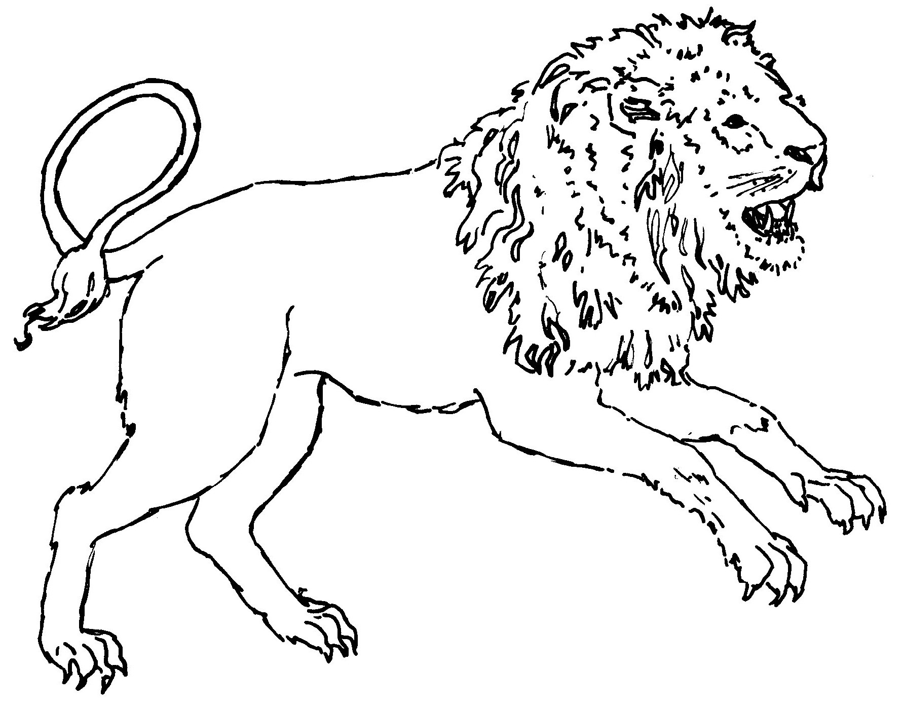Leo