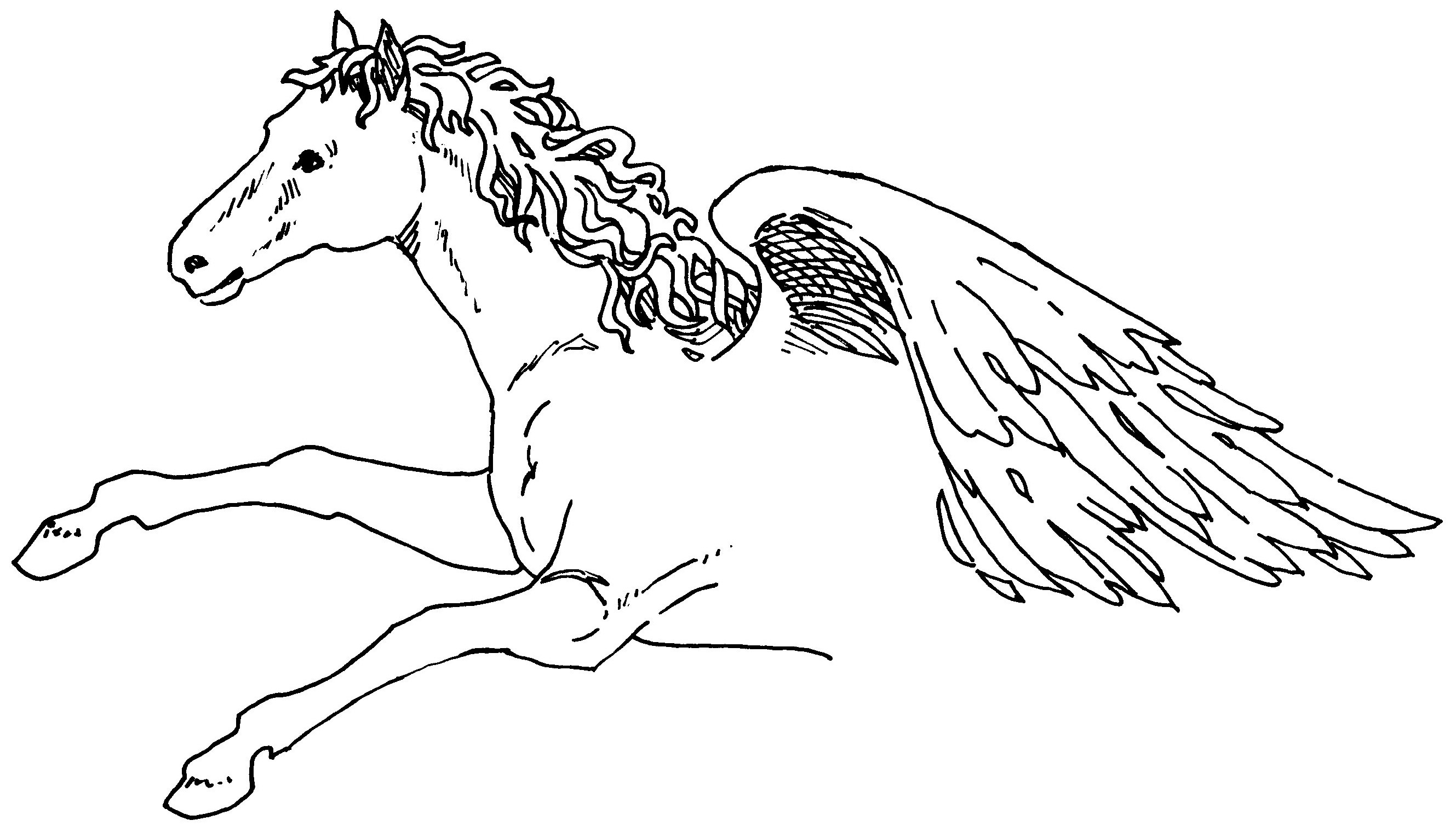 Pegasus