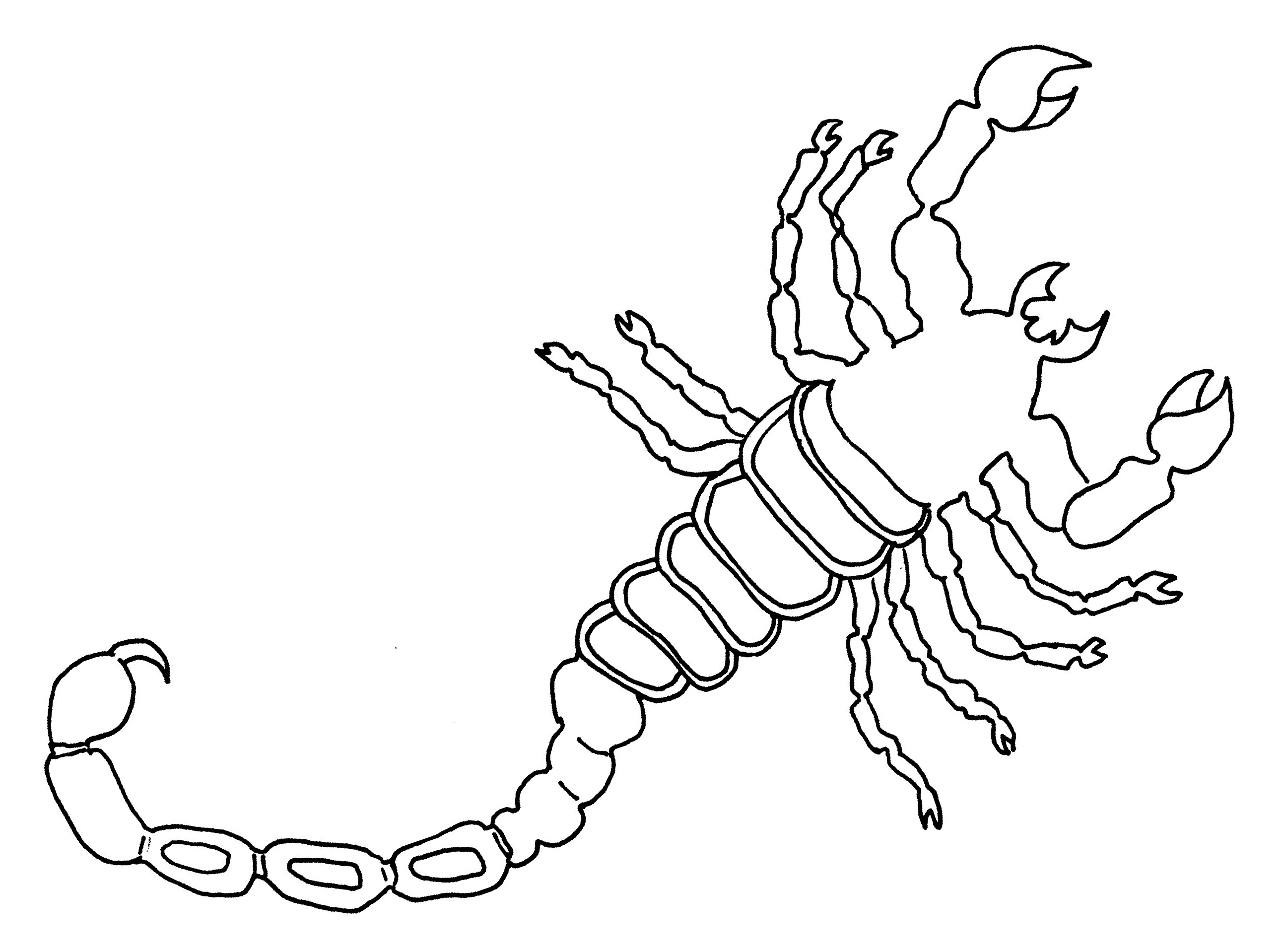 Scorpio