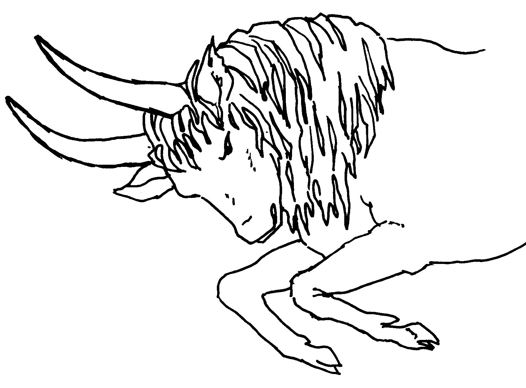 Taurus