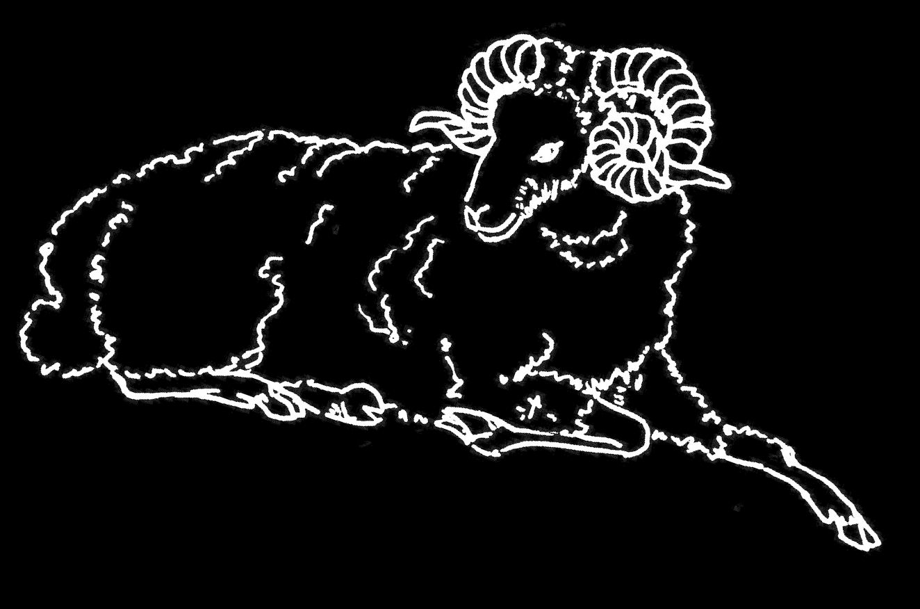 Aries