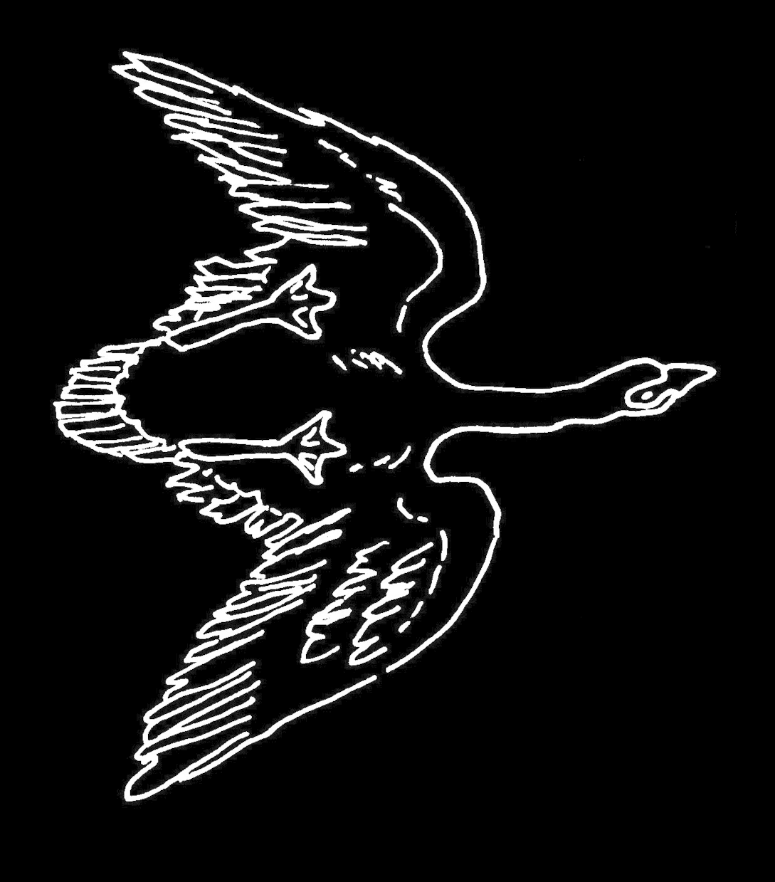 Cygnus