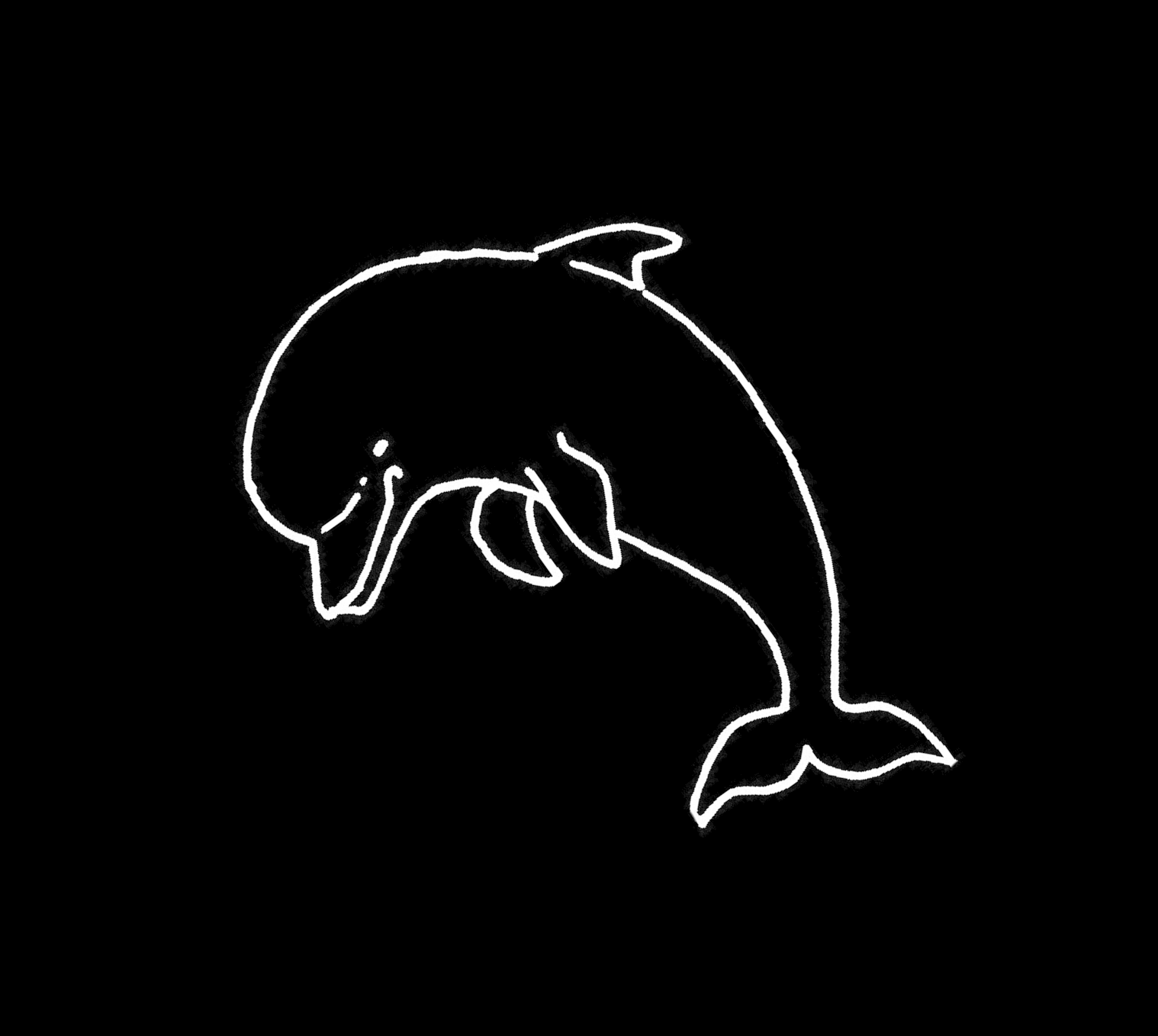 Delphinus