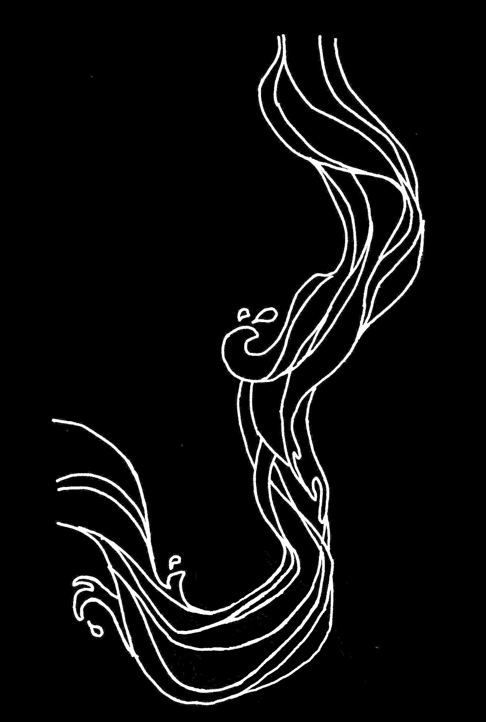 Eridanus