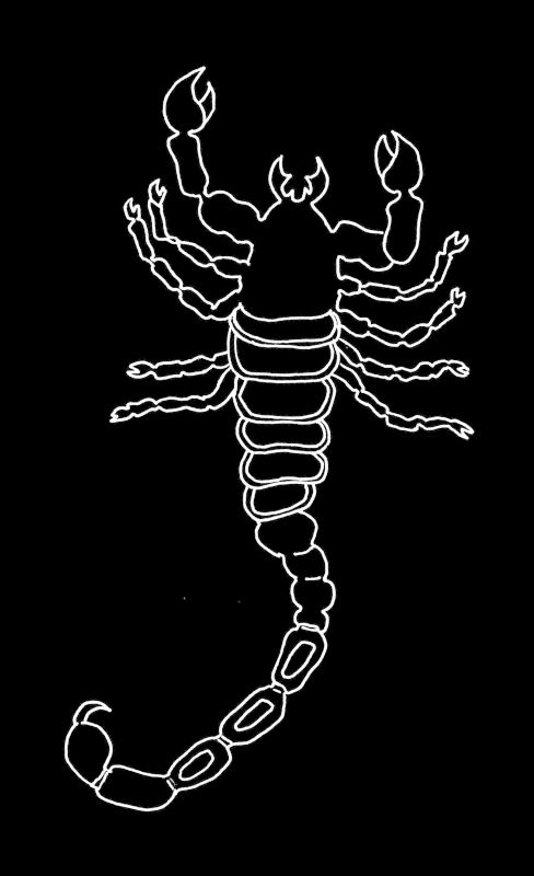 Scorpio